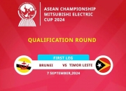 关于东南亚球队底蕴深厚，晋级有态度的信息