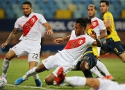 开云官网-厄瓜多尔篮球联赛精彩瞬间回顾，逆袭传奇的简单介绍