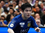 开云体育平台APP-法国乒乓球队力克德国乒乓球队，樊振东关键制胜的简单介绍