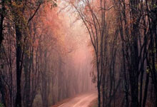 开云体育平台APP-爵士强势猛龙，萨博尼斯爆发神勇——新赛季篮球盛宴的精彩纷呈