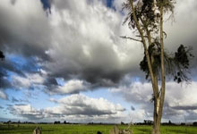 开云平台-WBG血洗Vitality，Bwipo在关键时刻展现统治力