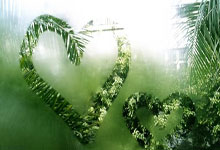 开云体育app-勇士B队逆转凯尔特人，布克爆发神勇——篮球场上的精彩奇迹