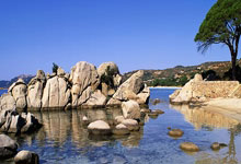 开云体育平台APP-丹麦羽毛球队爆冷战胜马来西亚，马琳意外助攻引发热议