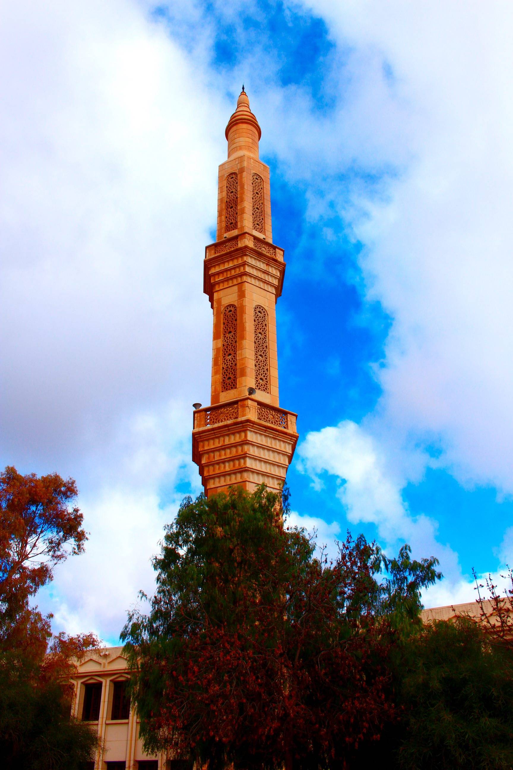 包含阿尔及利亚队女足再次站上冠军领奖台的词条