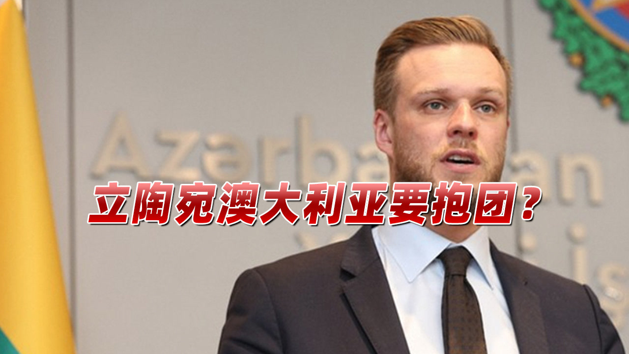 立陶宛队逆转获胜，实力获得认可