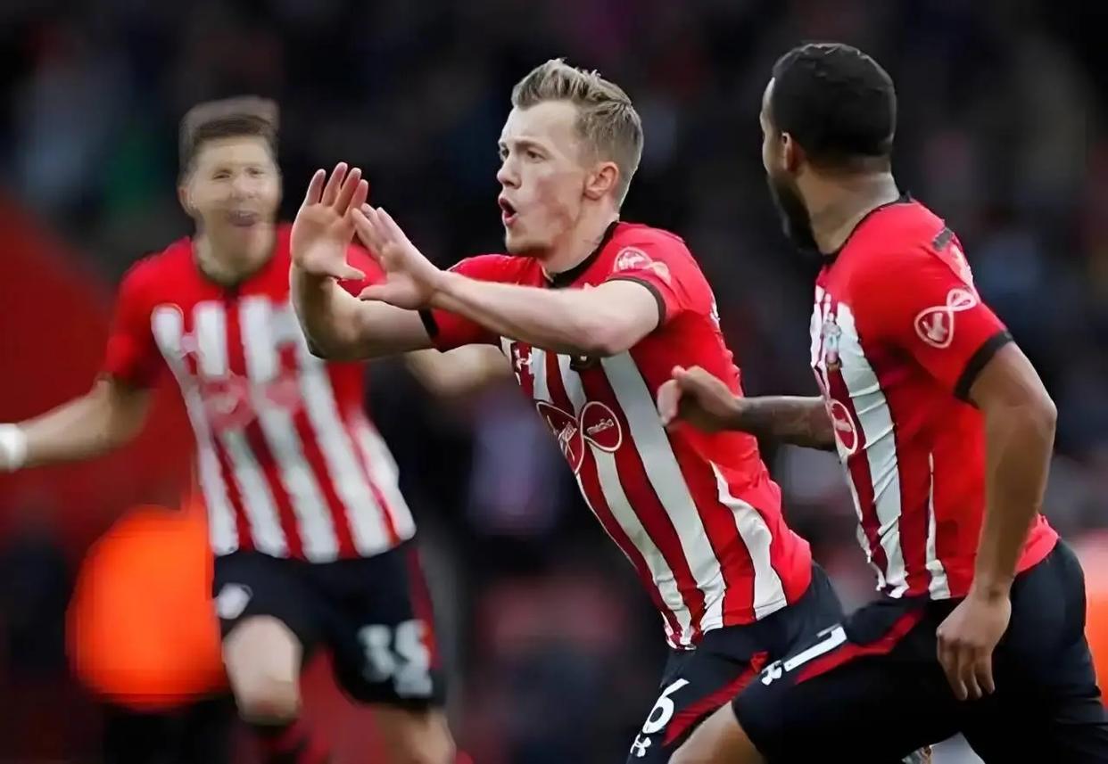 南安普顿战平布莱顿，争夺保级希望的简单介绍