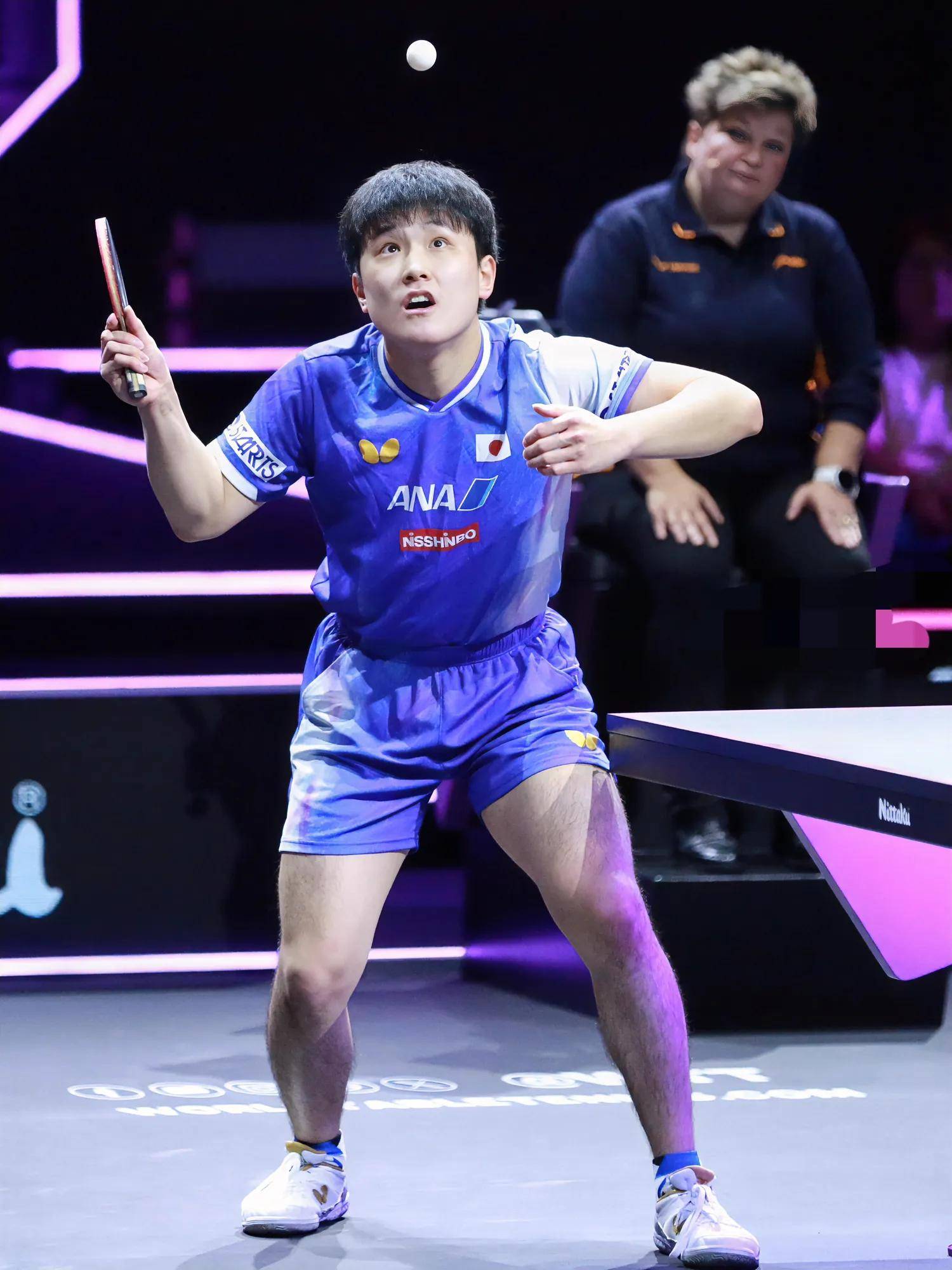 包含日本乒乓球队绝地反击波兰乒乓球队，张本智和统治全场的词条