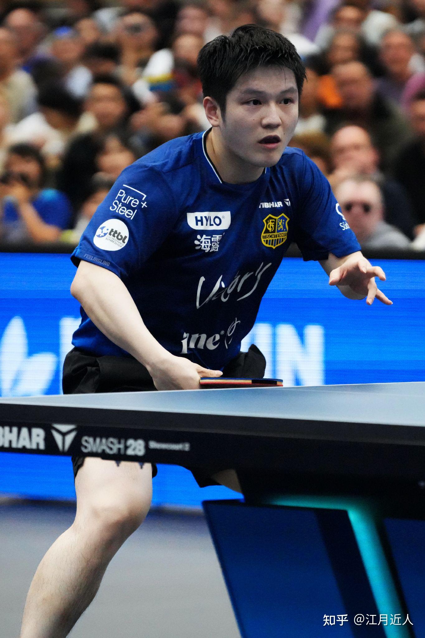 法国乒乓球队力克德国乒乓球队，樊振东关键制胜的简单介绍