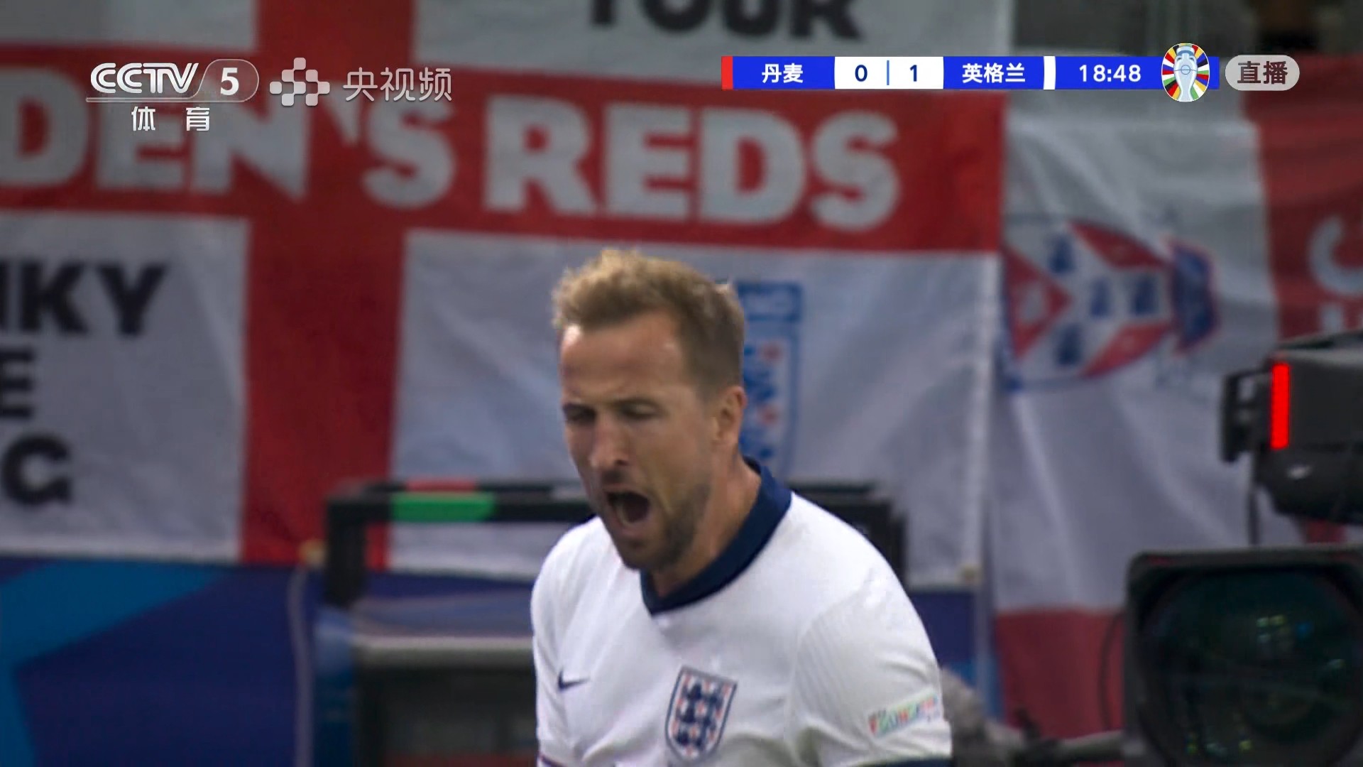 丹麦险胜瑞典，凯恩关键制胜